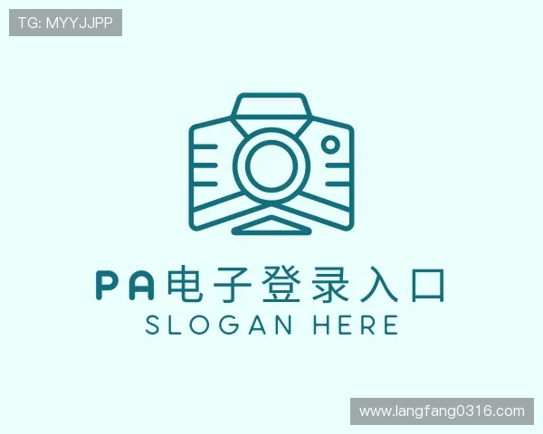 解读PA集团